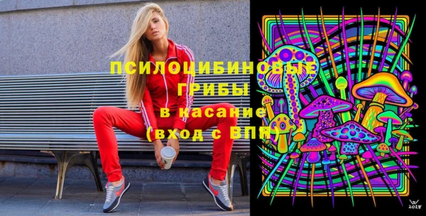 тгк Алексин