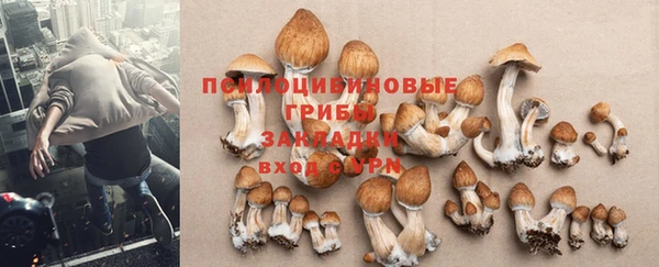 хмурый Алзамай