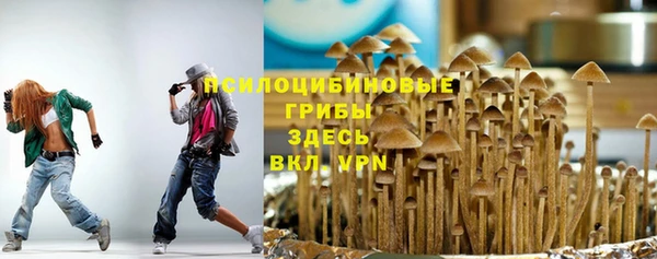 хмурый Алзамай