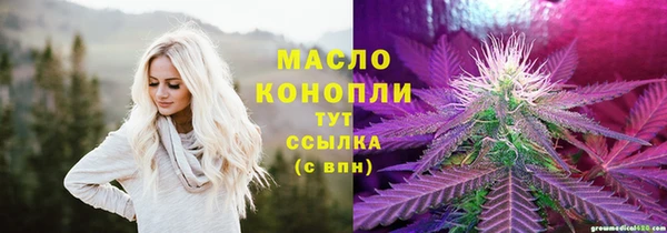 тгк Алексин