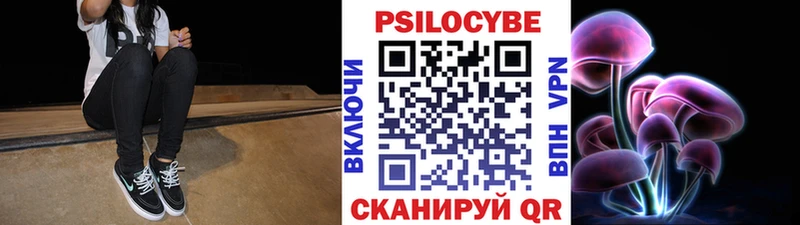 Псилоцибиновые грибы Psilocybine cubensis  Полярные Зори 